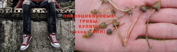 метадон Магас