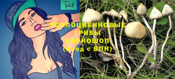 метадон Магас