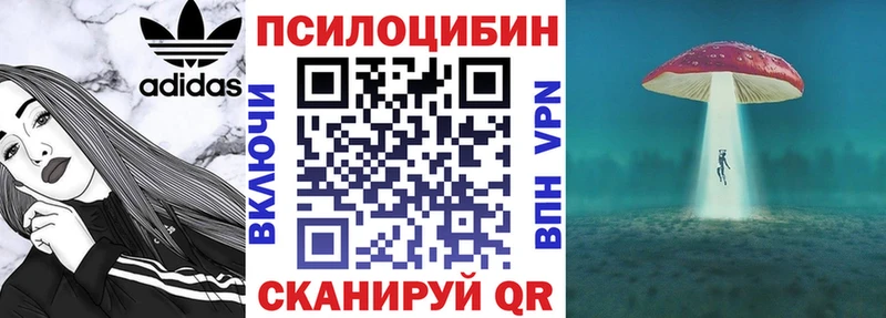Галлюциногенные грибы ЛСД магазин ссылка на мегу Чапаевск